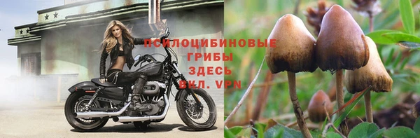 СК Беломорск
