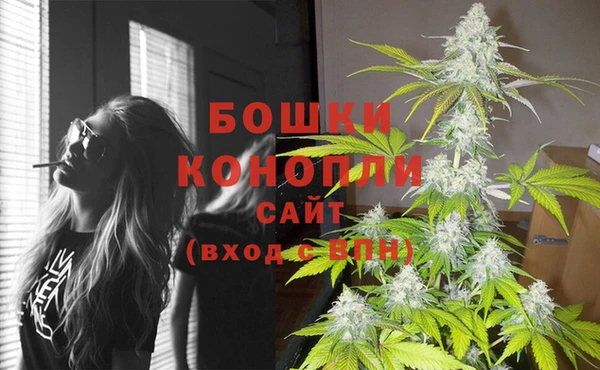 СК Беломорск