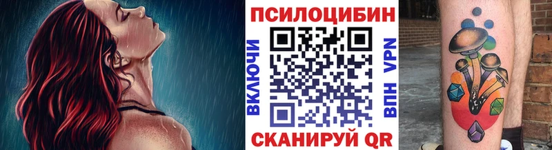 Псилоцибиновые грибы Psilocybe  где продают наркотики  Челябинск 